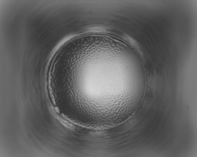 X0000081351435200701111443