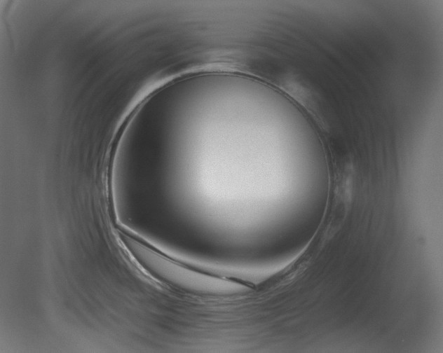 X0000081351436200701111443