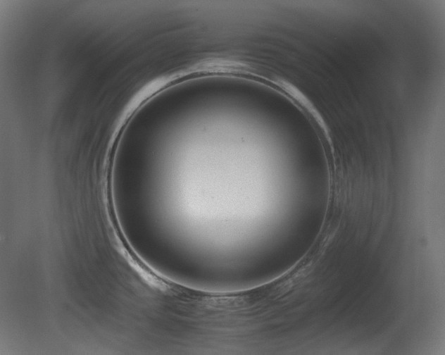 X0000081351437200701111443