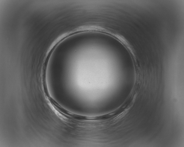 X0000081351438200701111443
