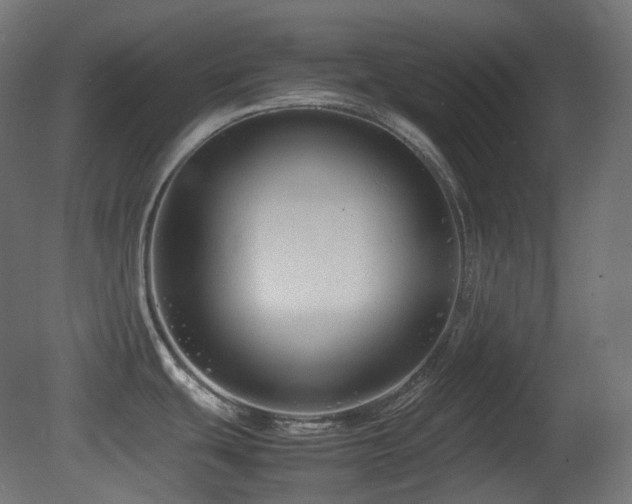X0000081351439200701111443
