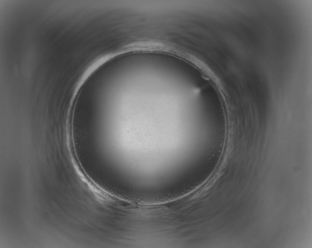 X0000081351440200701111443