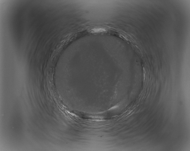X0000081351441200701111443
