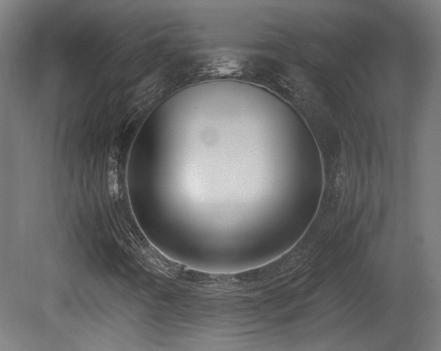 X0000081351442200701111443