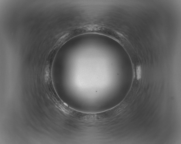 X0000081351444200701111442