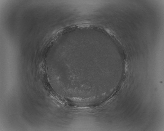 X0000081351445200701111442