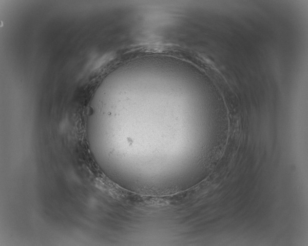 X0000081351446200701111442