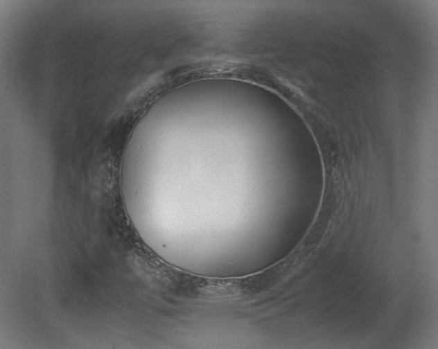 X0000081351447200701111442