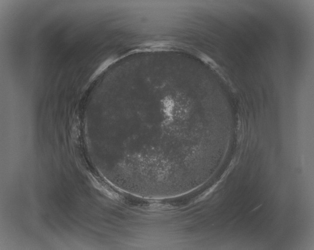 X0000081351449200701111442