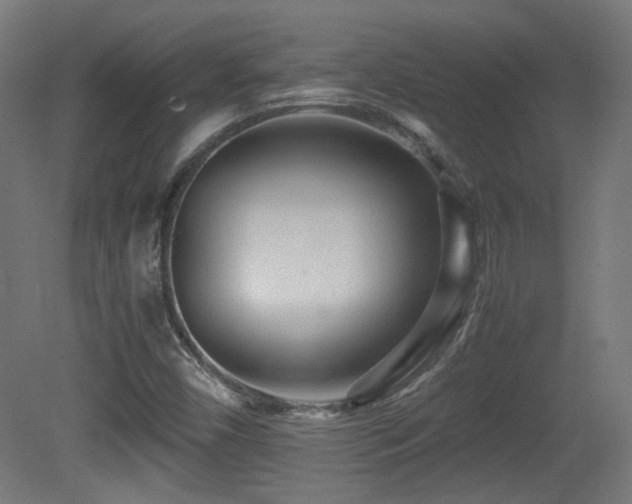 X0000081351450200701111442