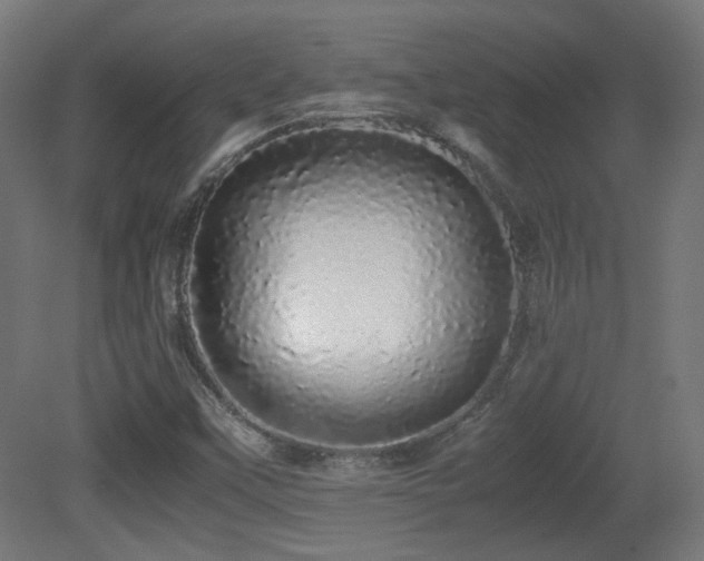 X0000081351451200701111442