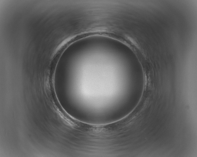 X0000081351452200701111442