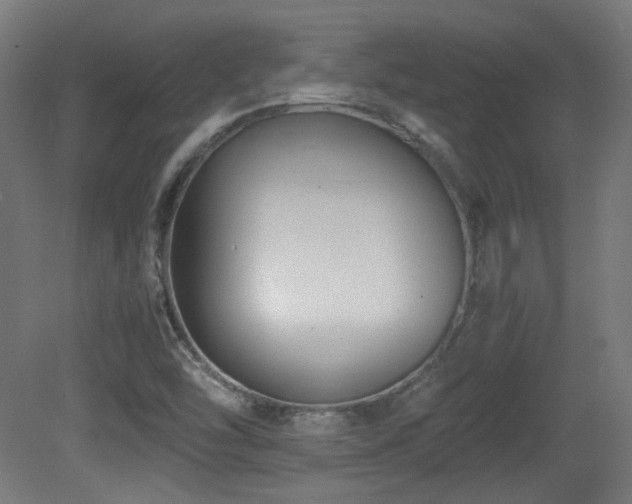 X0000081351454200701111442