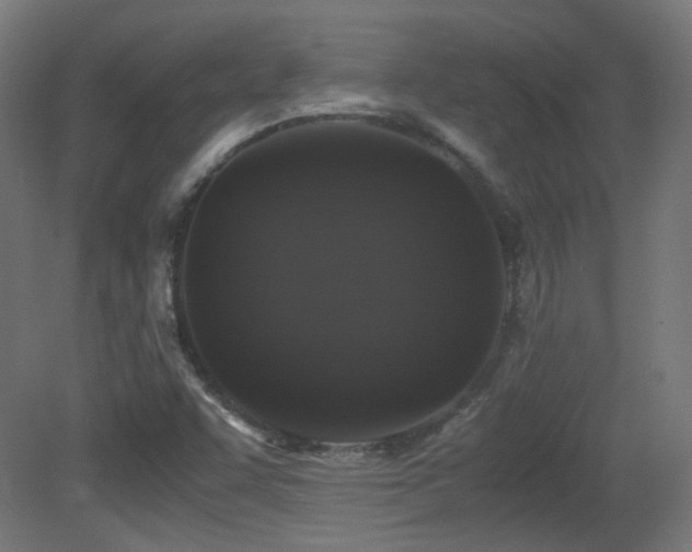 X0000081351455200701111442