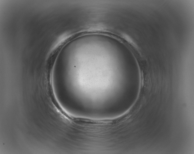 X0000081351456200701111442