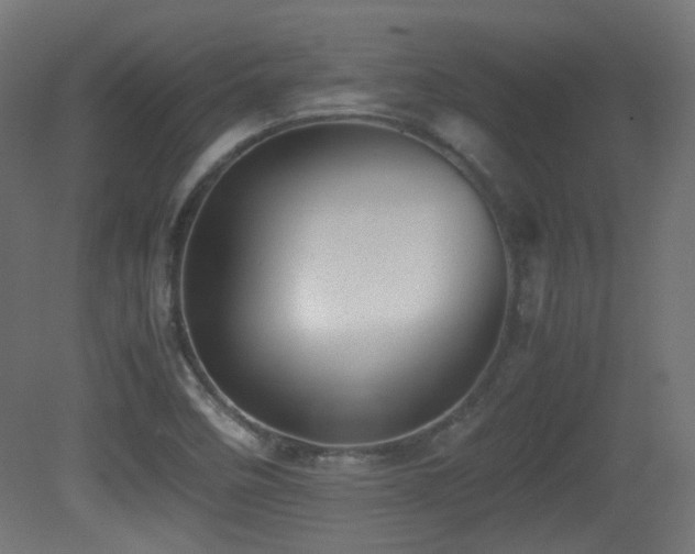 X0000081351458200701111442