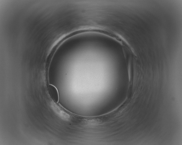 X0000081351460200701111442