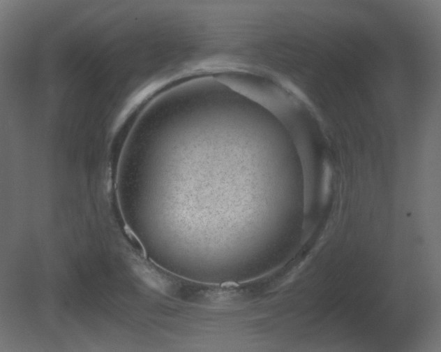 X0000081351461200701111442