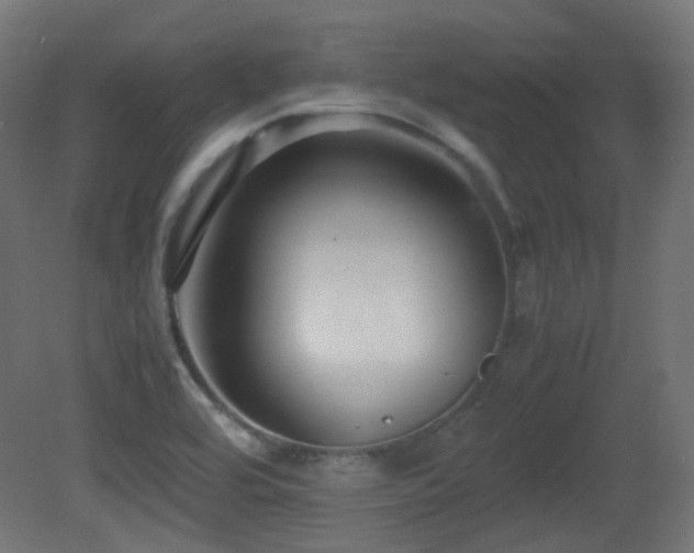 X0000081351464200701111442