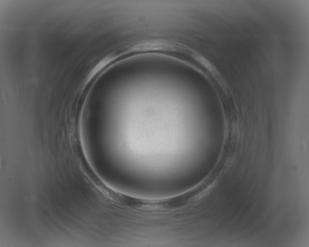 X0000081351465200701111442