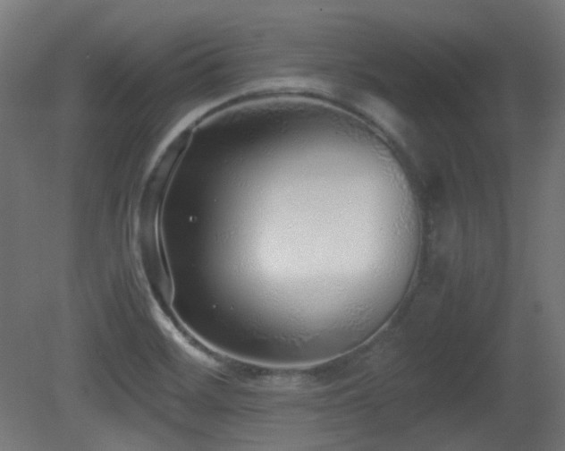X0000081351468200701111442