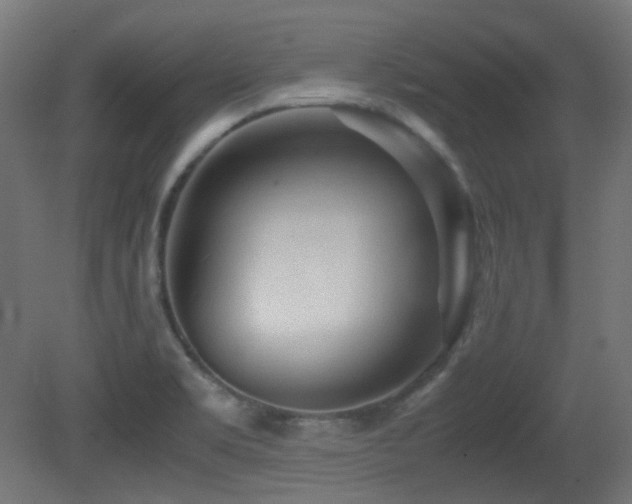 X0000081351469200701111442
