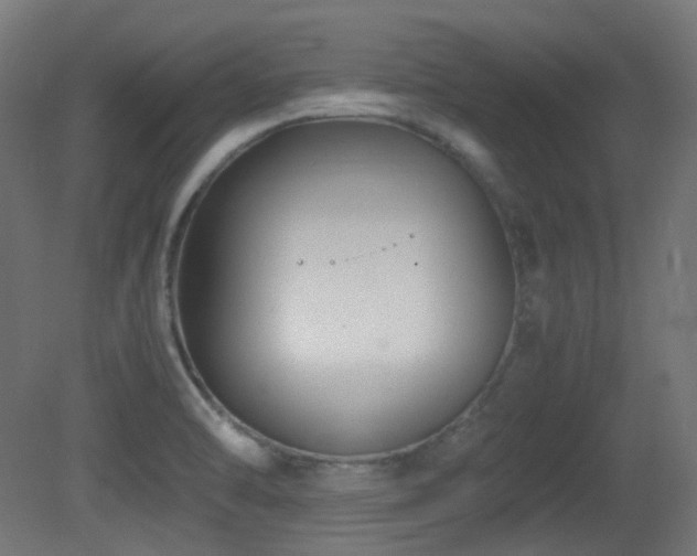 X0000081351470200701111442