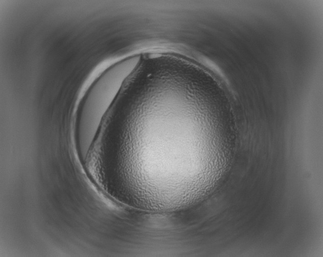 X0000081351472200701111442