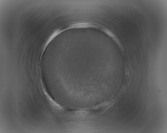 X0000081351473200701111442