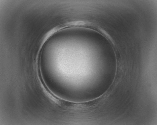 X0000081351475200701111442