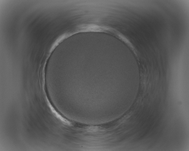 X0000081351479200701111442