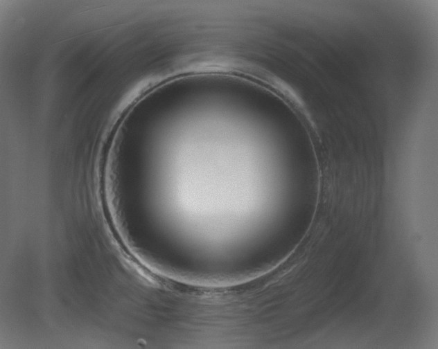 X0000081351480200701111442