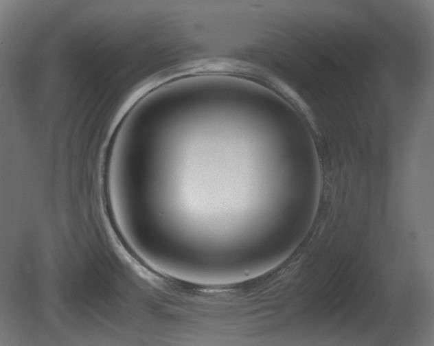 X0000081351483200701111442