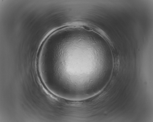X0000081351484200701111442