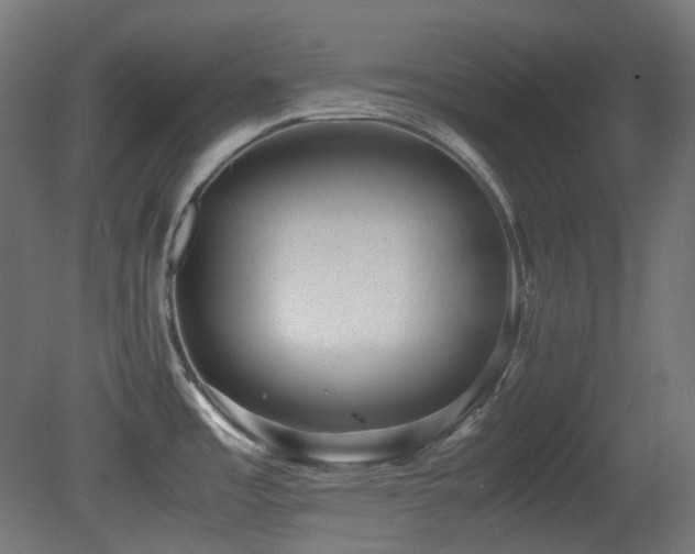 X0000081351485200701111442