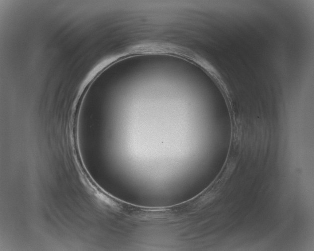 X0000081351486200701111442