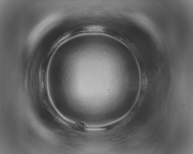 X0000081351487200701111442