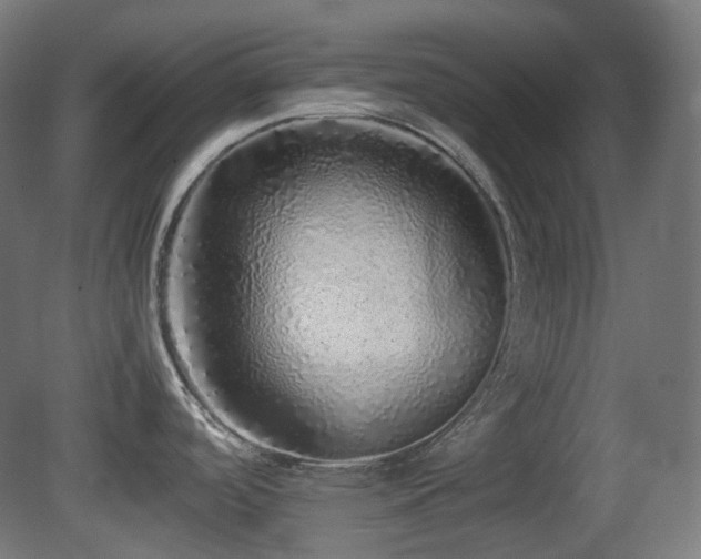 X0000081351488200701111442