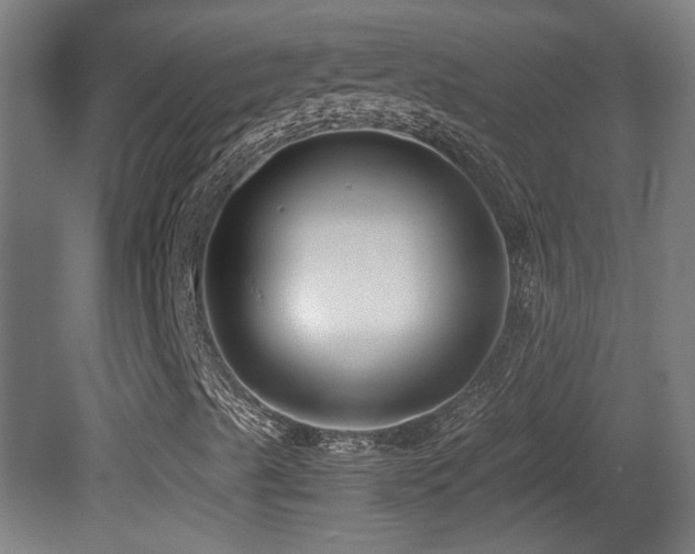 X0000081351489200701111441