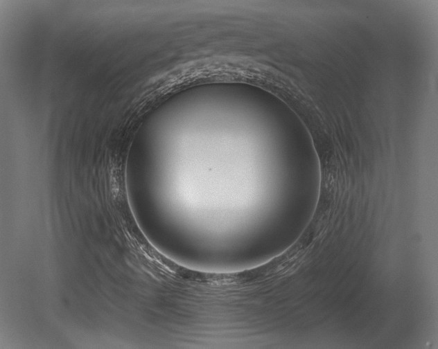 X0000081351490200701111441