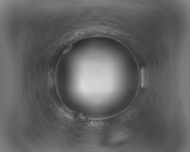 X0000081351491200701111441