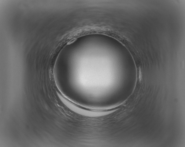 X0000081351492200701111441