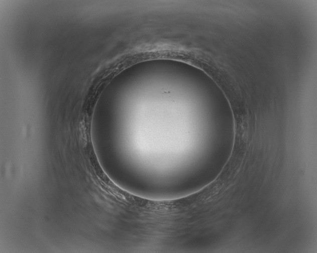 X0000081351493200701111441