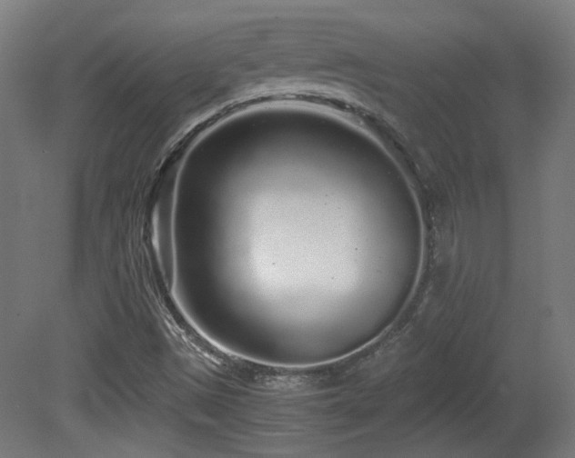 X0000081351497200701111441