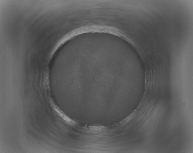 X0000081351498200701111441