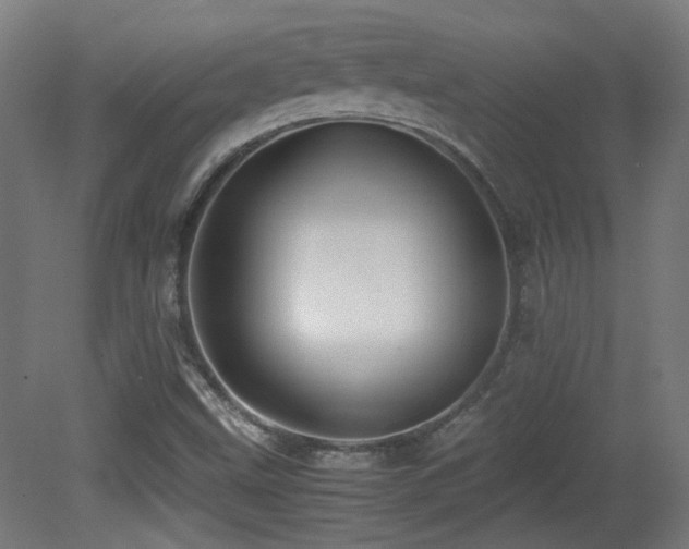 X0000081351499200701111441