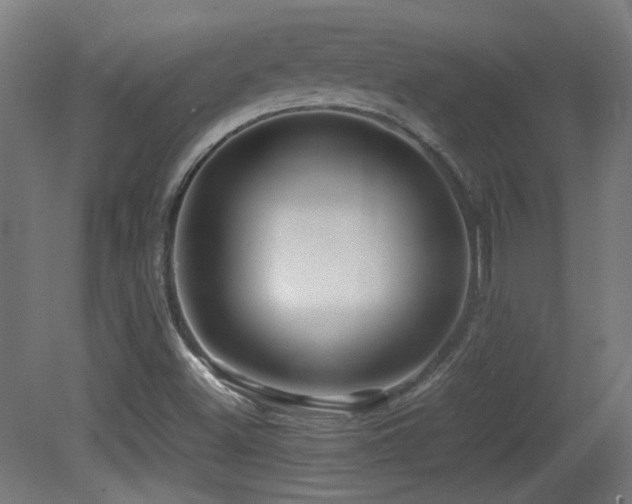 X0000081351500200701111441