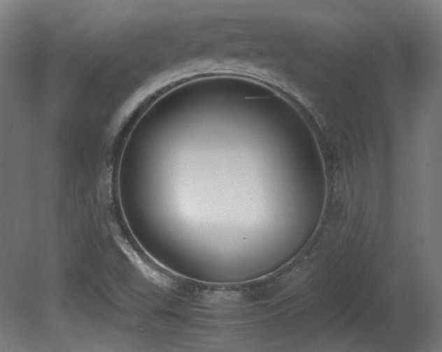 X0000081351503200701111441