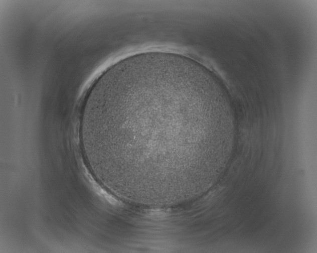 X0000081351504200701111441