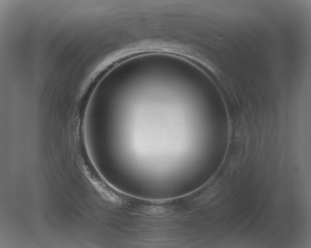 X0000081351507200701111441
